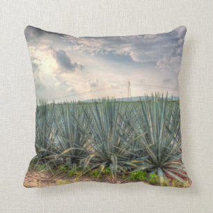 Almofada Agave azul