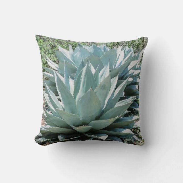 Almofada Agave Succult Plant Cactus Green Sage Pil (Frente)