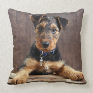 Almofada Airedale terrier cachorrinho