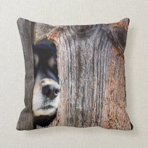 Almofada Alcance do Nariz do German shepherd