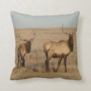 Almofada Alces de E1 Bull