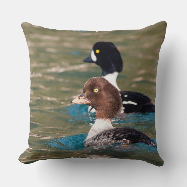 Almofada Alerta Goldeneye (Frente)