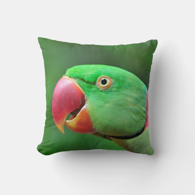 Almofada Alexandrine Parakeet (Frente)