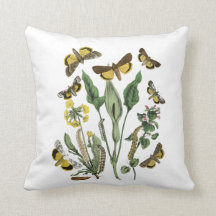 Algodão Botânico e Cushion Borboleta