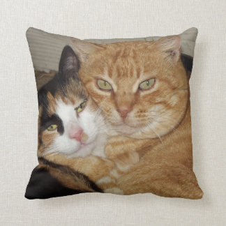 Almofada Almohada Decorativa Gatos