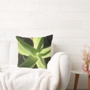Almofada Aloe Plant