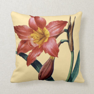 Almofada Amaryllis