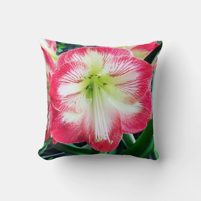 Almofada Amaryllis cor-de-rosa branca, branquelo de flores (Frente)