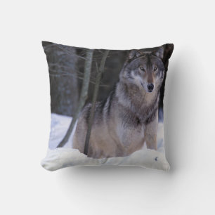 Almofada América do Norte, Canadá, Canadá Oriental, Lobo ci