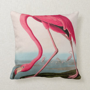 Almofada American Flamingo Birds of America Audubon Impress