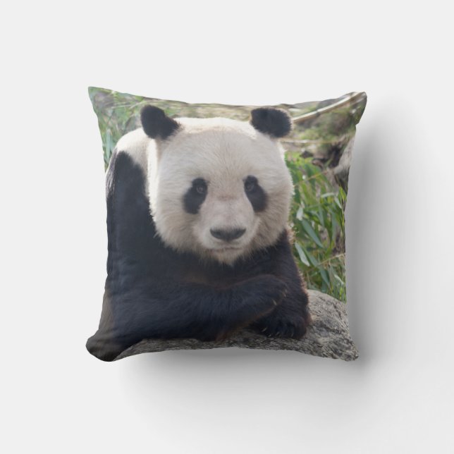 Almofada Amigo Giant Panda (Frente)