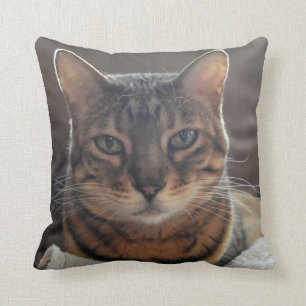 Almofada Amor de Bengal
