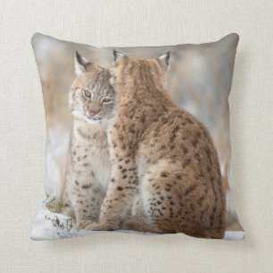 Almofada Amor do lince