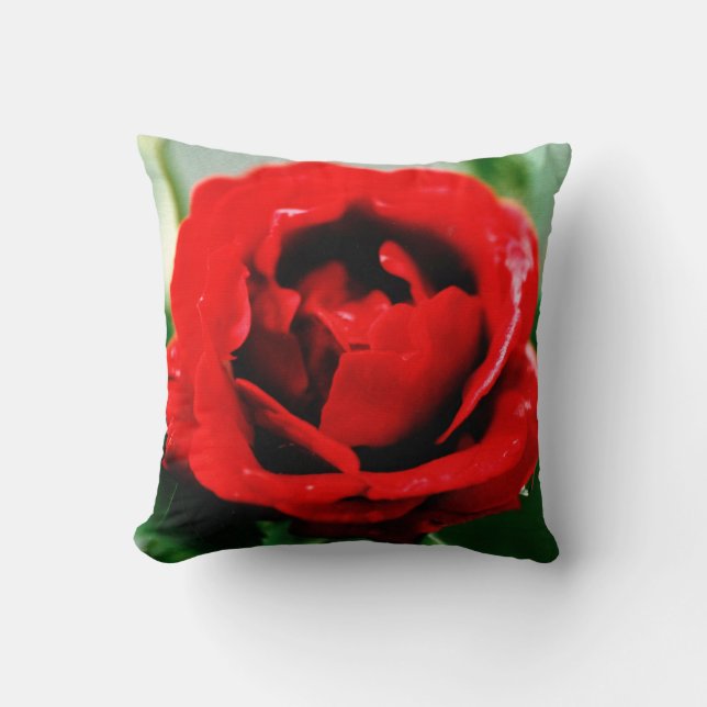 Almofada Amor Rosa Vermelha (Frente)