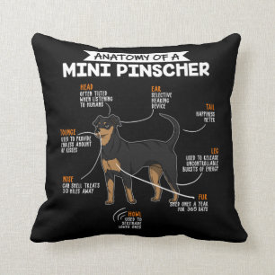 Almofada Anatomia De Um Mini Pinscher Curioso Dono De Cacho