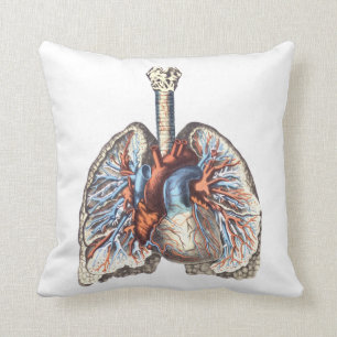 Almofada anatomia médica Pulmões anatômicos