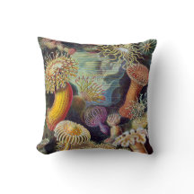 Anêmonas Marinhas Vintage por Ernst Haeckel