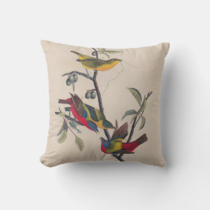 Almofada Animais Selvagens de Aves Pintadas com Audubon