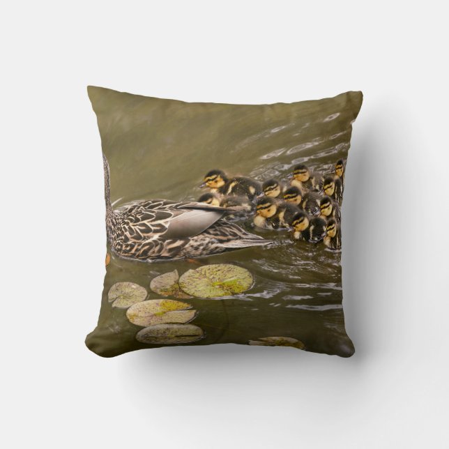 Almofada Animal - Ducks - Swim like a duck (Frente)