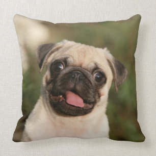 Almofada Ânsia do filhote de cachorro do Pug da jovem cor