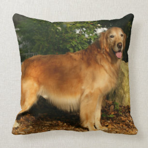 Almofada Ânsia do golden retriever
