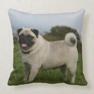 Almofada Ânsia do Pug