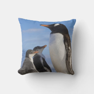 Almofada Antártida, Neko Cove (Porto). Pinguim-de-gentoo 2