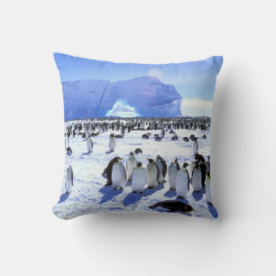 Almofada Antártida, Península Antártica, Mar de Weddell 5