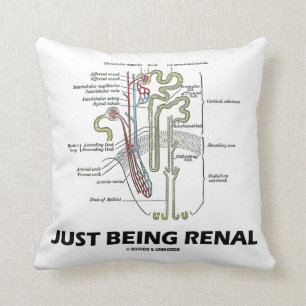 Almofada Apenas sendo renal (humor renal de Nephron do rim)