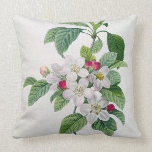 Almofada Apple floresce, 'do DES de Les Choix mais Belles