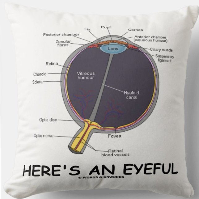 Almofada Aqui está um Humor Anatômico (Olhos) (Throw pillow featuring human eye anatomy along with the caption "Here's An Eyeful")