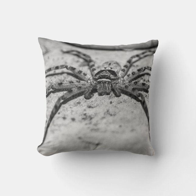 Almofada Aranha-caçadora (Frente)
