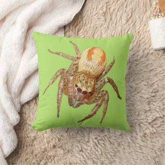 Almofada Aranha-saltadora-dimórfica (Maevia inclemens)