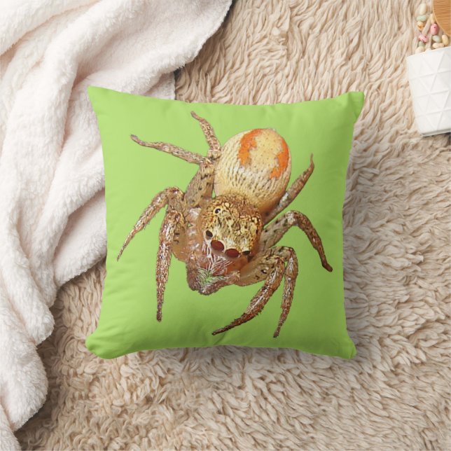 Almofada Aranha-saltadora-dimórfica (Maevia inclemens) (Cobertor)
