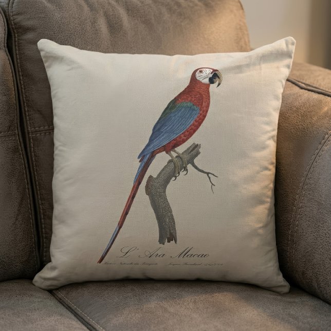 Almofada Arara-vermelha, Ara chloropterus (Red-and-green Macaw, Ara chloropterus. Throw Pillow)