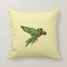 Arco-íris Lorikeet (haematodus do Trichoglossus)