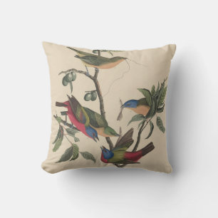Almofada Arte Colorida de Pássaros Vintage Audubon Pintado