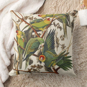 Almofada Arte de Pássaro do Periquito-da-Carolina de Audubo