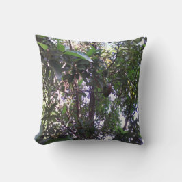 Almofada Árvore Avocado