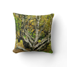 Árvore de Bétula Careliana Entalada Mística
