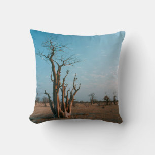 Almofada Árvore Moringo Africana na Planície, Etosha Nation