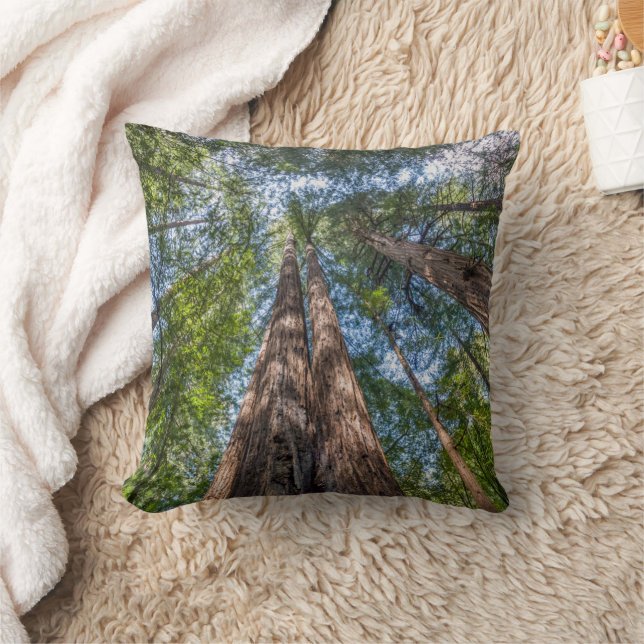 Almofada Árvores Redwood | Condado de Marin, Califórnia (Cobertor)