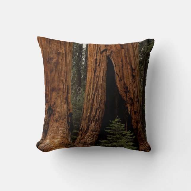 Almofada Árvores Redwood, Parque Nacional Sequoia. (Frente)