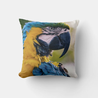 Almofada as aves são os únicos animais com penas 8