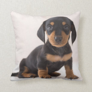 Almofada Assento diminuto do Dachshund