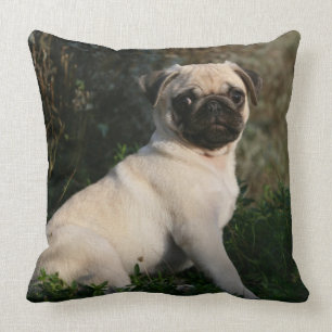 Almofada Assento do filhote de cachorro do Pug da jovem