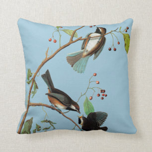 Almofada Audubon: Chickadee