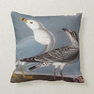Almofada Audubon: Gaivota Anel-Faturada