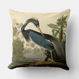 Almofada Audubon Garça da Louisiana Pássaros América Arte