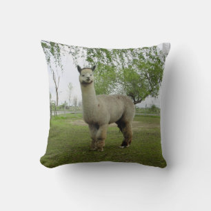 Almofada Aumentou a alpaca cinzenta